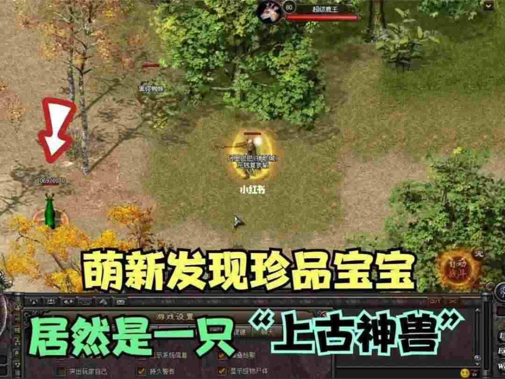 新开一秒神器私服之传奇私服外挂物品怎么改